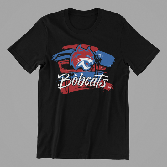 BOBCATS PAINT TEE